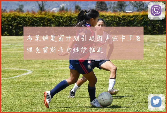 布莱顿夏窗计划引进图卢兹中卫查理克雷斯韦尔继续推进